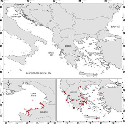 Benthic-Pelagic Coupling of Marine Primary Producers Under Different Natural and Human-Induced Pressures’ Regimes